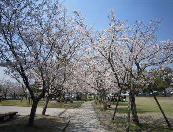 ファイル名: IMG_0502.jpg
ファイルサイズ: 28KB IMG_0502