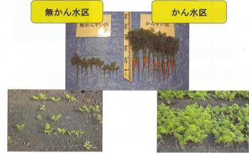 ファイル名: 2.jpg
ファイルサイズ: 14.6KB 2