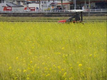 ファイル名: NONALNUM-44GT44KT44Gq6aKo5pmv-E.jpg
ファイルサイズ: 18.7KB NONALNUM-44GT44KT44Gq6aKo5pmv-E