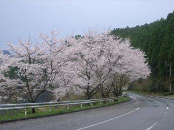 ファイル名: 5.jpg
ファイルサイズ: 16.2KB 5