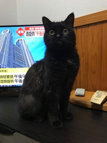 ファイル名: 4.jpg
ファイルサイズ: 219.2KB
→クリックで元のサイズを表示 4