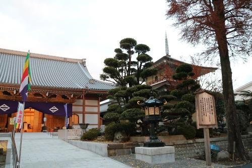 ファイル名: IMG_1411.jpg
ファイルサイズ: 303KB
→クリックで元のサイズを表示 IMG_1411