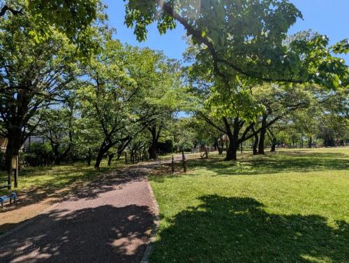 ファイル名: 1.jpg
ファイルサイズ: 215KB
→クリックで元のサイズを表示 1