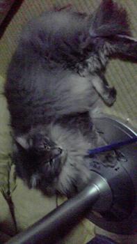 ファイル名: 2011070220210000.jpg
ファイルサイズ: 11.4KB 2011070220210000