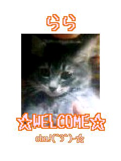 ファイル名: 34341583.jpg
ファイルサイズ: 16.2KB 34341583