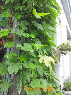 ファイル名: 120629_141704_ed.jpg
ファイルサイズ: 49.4KB 120629_141704_ed