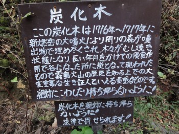 ファイル名: DSC02119.jpg
ファイルサイズ: 50.1KB DSC02119