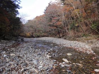 ファイル名: DSC02235.jpg
ファイルサイズ: 26.3KB DSC02235
