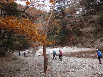 ファイル名: DSC02267.jpg
ファイルサイズ: 27.7KB DSC02267