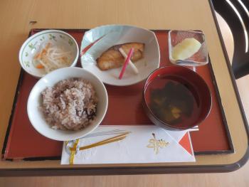 ファイル名: P1010102.jpg
ファイルサイズ: 15.4KB P1010102