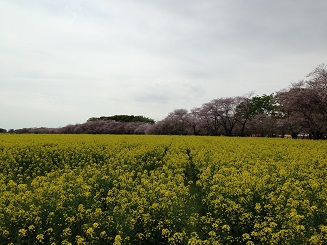 ファイル名: IMG_0328-2.jpg
ファイルサイズ: 45.6KB IMG_0328-2