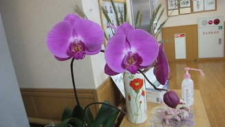 DSCF2209