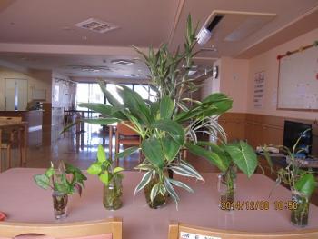 ファイル名: IMG_1798.jpg
ファイルサイズ: 17.3KB IMG_1798