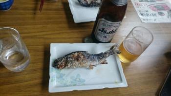 ファイル名: 1431585249005.jpg
ファイルサイズ: 12.2KB 1431585249005