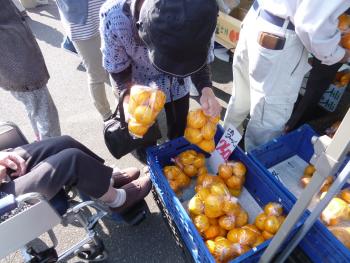 ファイル名: P1110841.jpg
ファイルサイズ: 23.2KB P1110841
