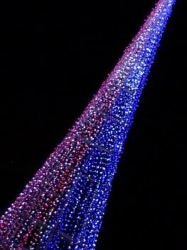 IMG_0252