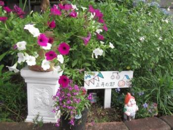 ファイル名: IMG_9095.jpg
ファイルサイズ: 24.4KB IMG_9095