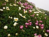 ファイル名: DSCF1411.jpg
ファイルサイズ: 94.5KB DSCF1411