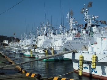 ファイル名: CIMG04261.jpg
ファイルサイズ: 82KB CIMG04261