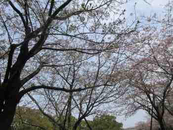 ファイル名: IMG_2022.jpg
ファイルサイズ: 13.7KB IMG_2022
