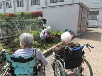 ファイル名: IMG_2029.jpg
ファイルサイズ: 10.1KB IMG_2029