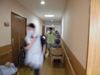 ファイル名: CIMG1512.jpg
ファイルサイズ: 10.1KB CIMG1512