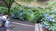 ファイル名: IMG_3705.jpg
ファイルサイズ: 30.1KB IMG_3705