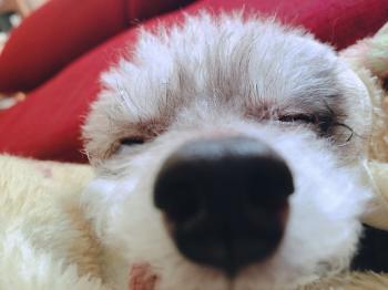 ファイル名: riri.jpeg
ファイルサイズ: 12.6KB riri