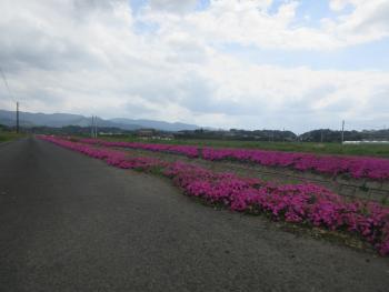 ファイル名: IMG_7918.jpg
ファイルサイズ: 11KB IMG_7918