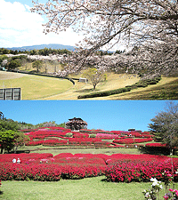 旭ヶ丘運動公園、椎八重公園